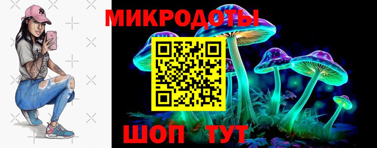 Курчатов  Псилоцибиновые грибы прущие грибы  Галлюциногенные грибы Psilocybine cubensis  Вход с VPN 